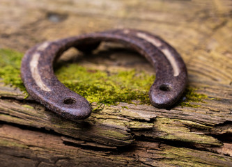 
Old horseshoe lying on an old board