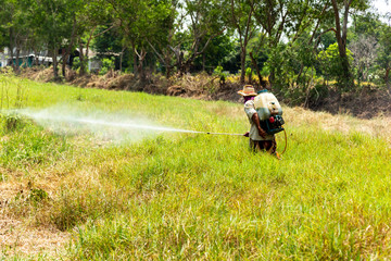 Obraz premium Farmers are using grass sprayer.