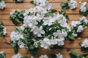 A bouquet of white flowers of an apple tree on a wooden table background. Spring concept.