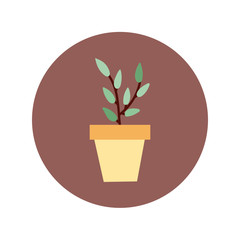 house plant hand draw style