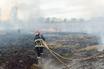 Obraz premium Firefighter battle with the wildfire. Firefighters are training. Firemen are using foam or water in fire fighting operation.