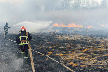 Obraz premium firefighters helped battle a wildfire