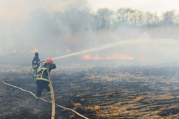 Firefighters battle a wildfire. firefighters spray water to wildfire. Australia bushfires, The fire...
