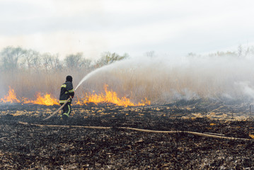 Obraz premium firefighters helped battle a wildfire