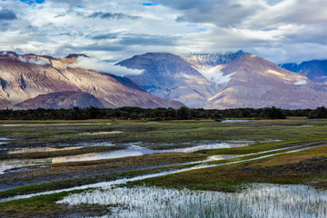 Fototapeta na wymiar Nubra valley in Himalayas mountains, Ladakh, India