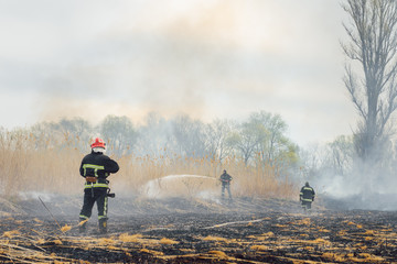 firefighters spray water to wildfire. Fireman working hard to put out the bush fires