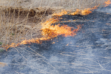 Raging forest spring fires. Burning dry grass, reed along lake. Grass is burning in meadow....