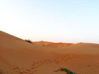 Fototapeta na wymiar sand dunes in the sahara