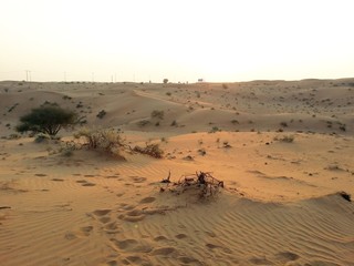  in the desert