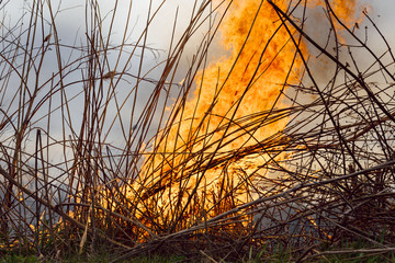 Raging forest spring fires. Burning dry grass, reed along lake. Grass is burning in meadow. Ecological catastrophy. Fire and smoke destroy all life. Firefighters extinguish Big fire. Lot of smoke