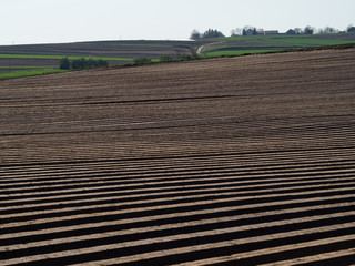 Countryside spring landscape of plowed fields. Green grass and trees. Ponidzie. Poland