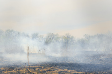 Raging forest spring fires. Burning dry grass, reed along lake. Grass is burning in meadow....