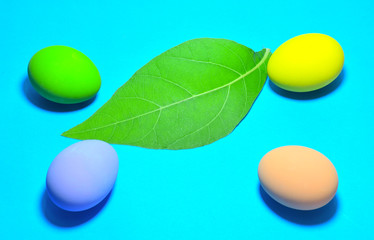 Beautiful easter eggs and green leaves on a blue background