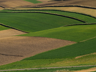 Countryside spring landscape of plowed fields. Green grass and brown ground. Ponidzie. Poland