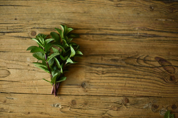herbs on wooden background