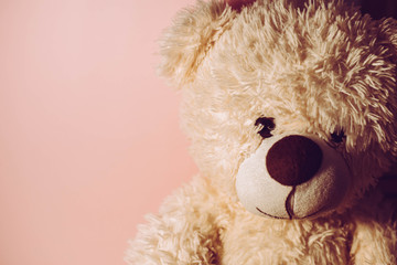 Teddy bear on a pink background