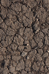 Craquelure on the ground. Cracked earth. Drought