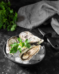Lots of oysters in a black ceramic plate on the black kitchen table. Rustic style. French cuisine
