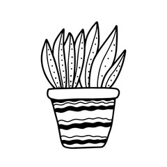 Hand drawn house plants in pots in doodle cartoon style isolated on white background. Vector outline potted plants collection