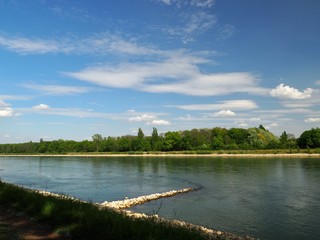 Obraz premium scene with groyne at river of Rhine