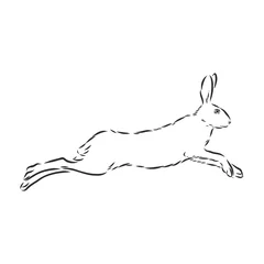 Foto op Aluminium hare, doodle style sketch illustration hand drawn vector, hare vector sketch illustration © Elala 9161