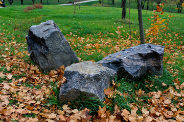 Large rock surrounded by yellow fallen leaves