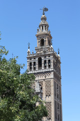 Fototapeta na wymiar Giralda of Seville Cathedral, Seville, Spain