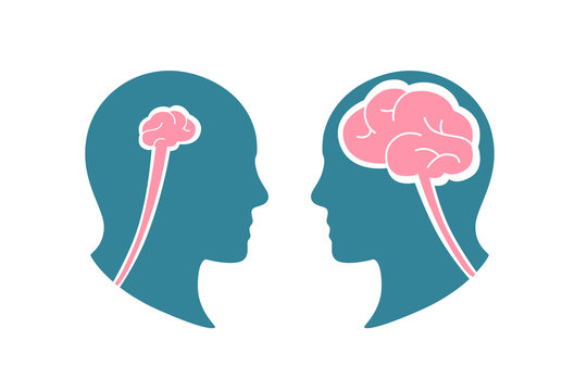 Cartoon colorful human smart stupid head vector flat illustration. Transparent male profile with small and big brain isolated on white background. Dialogue of different clever condition silhouette