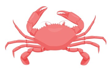 Cartoon red crab isolated on white background. Colorful sea creature vector graphic illustration. Water animal with claws. Aquatic crustacean character