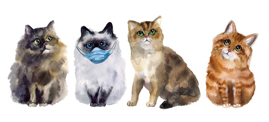 Fototapeta premium Cute watercolor cats with medical mask on the white background