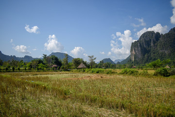 Fototapeta premium vang vieng landscape in laos