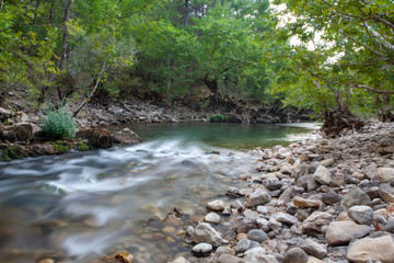 Flowing river among green trees
