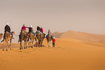 Camels caravan in the dessert of Sahara with beautiful dunes in background. Morocco