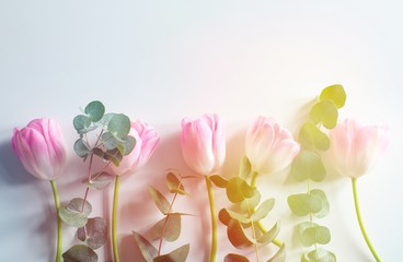 Flowers composition. Pink flowers and eucalyptus on white background. Flat lay, top view, copy space. Spring floral background, texture, wallpaper. Spring flowers concept. Space for text