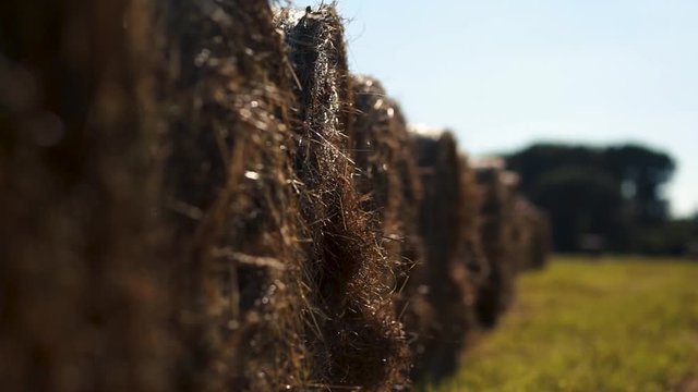 Haystack agriculture field landscape.Cereal production,large circles of hay.