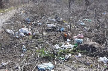 Pollution of the environment with plastic garbage in the forests and fields is a serious ecological problem.