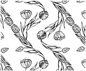 Sketch hand drawn pattern with black vintage tulip flowers isolated on white background. Retro line art flower wallpaper, textile. Turkish, Holland tulip. Vector floral illustration.