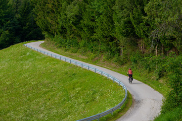 Traveling cyclist on cycle route in forest