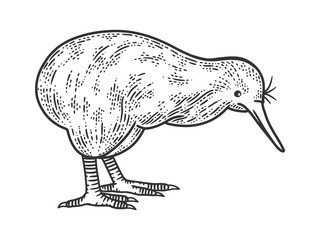 Kiwi bird sketch engraving vector illustration. T-shirt apparel print design. Scratch board imitation. Black and white hand drawn image.
