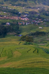 Fototapeta na wymiar Paisaje de los arrozales verdes de Vietnam