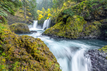 waterfall in the forest