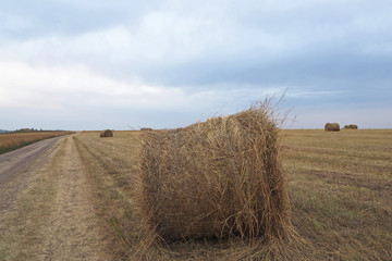 The landscape with the big ground road, the big round hay roll near it, the big field with yellow grass and far round hay rolls, the cloudy sky.