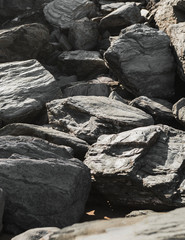 Rocks at the beach