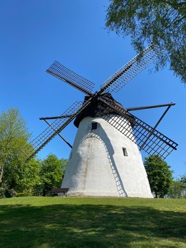 Reken Bilder Durchsuchen 206 Archivfotos, und Videos