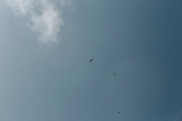 The blue sky