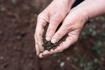 Female farmer hands holding soil forming heart shape.