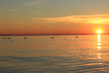 Obraz premium sunset