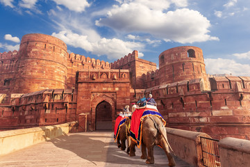 Agra Fort and elephants, view of India - obrazy, fototapety, plakaty