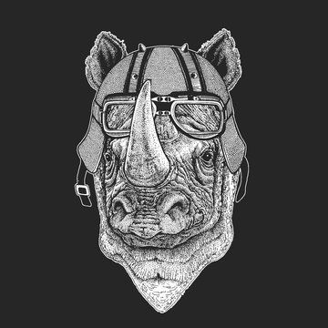 Rhinoceros, rhino portrait. Vintage motorcycle leather helmet. Head of wild animal.
