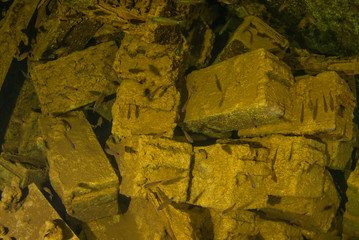 decaying wooden boxes filled with bullets shot in the cargo hold of a sunken ship. The vessel that...